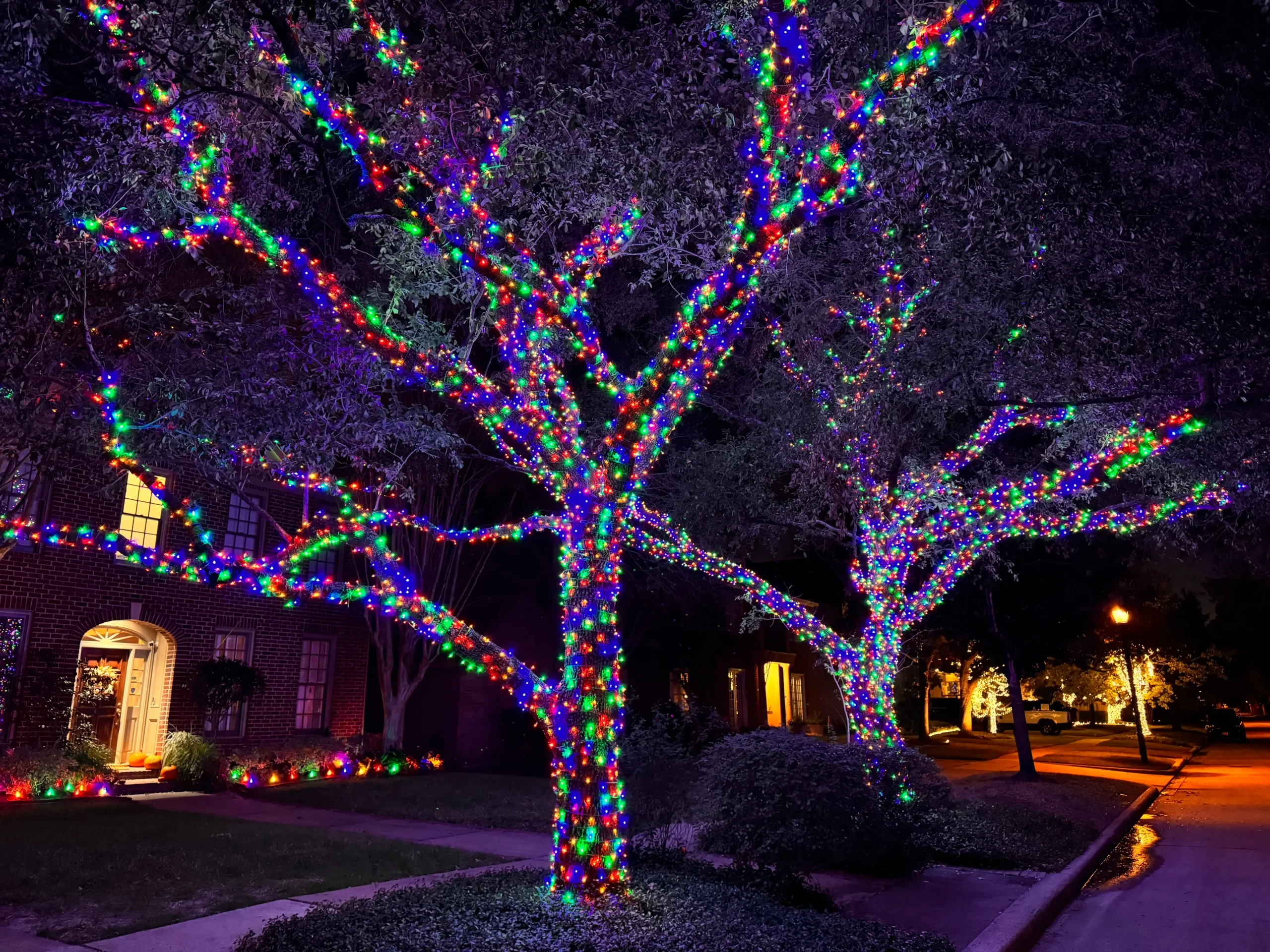 Garden & Tree Lighting